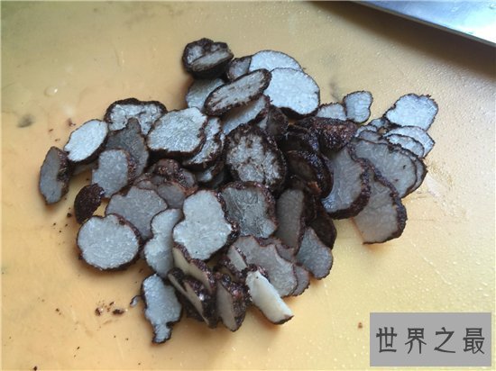 松露是什么 有人表示闻起来像是精液的味道