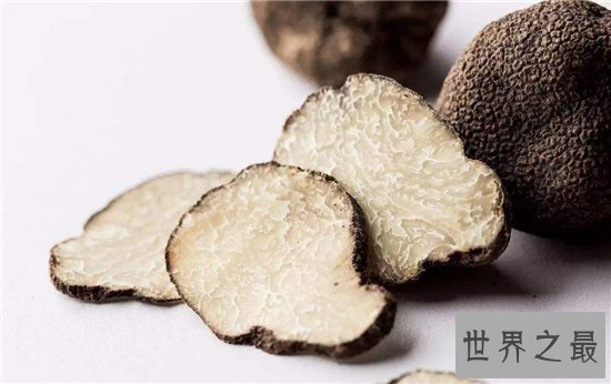 松露是什么 有人表示闻起来像是精液的味道