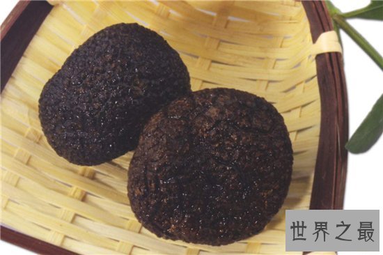 松露是什么 有人表示闻起来像是精液的味道