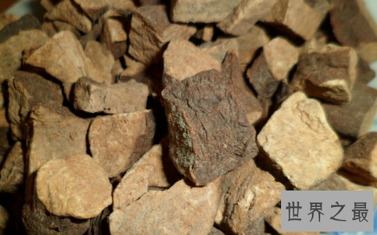 何首乌副作用,吃多了可能会导致你四肢酸痛,腹痛