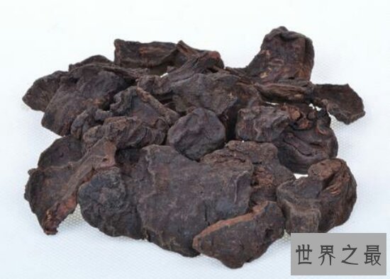 何首乌副作用,吃多了可能会导致你四肢酸痛,腹痛