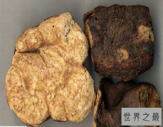 何首乌怎么吃,与芝麻连续吃一个月后，白发变黑发！