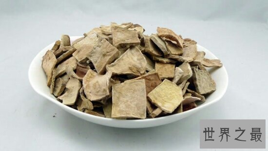 何首乌的功效与作用,都是辅助作用,千万不能经常吃,容易死人