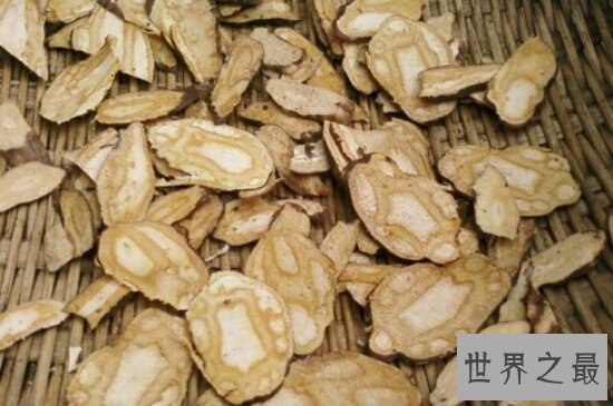 何首乌的功效与作用,都是辅助作用,千万不能经常吃,容易死人