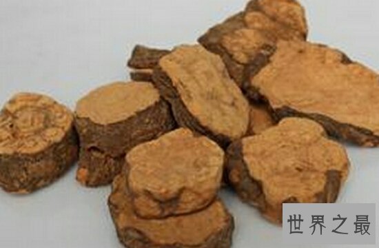 何首乌的功效与作用,都是辅助作用,千万不能经常吃,容易死人