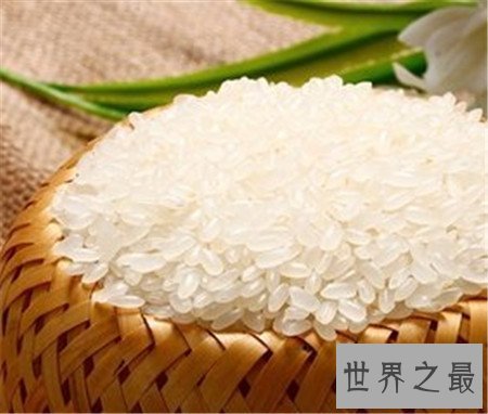 五常大米 中国人都爱吃的大米品牌