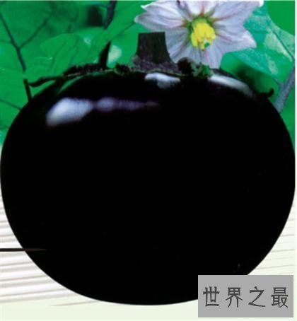 盘点世界之最蔬菜,世界最重胡萝卜20.34斤已成精