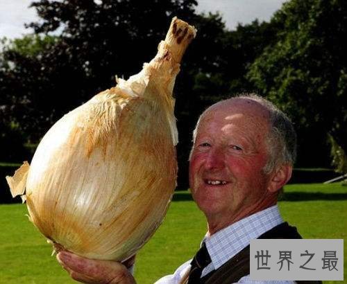 盘点世界之最蔬菜,世界最重胡萝卜20.34斤已成精