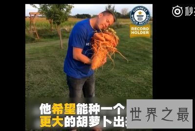 盘点世界之最蔬菜,世界最重胡萝卜20.34斤已成精