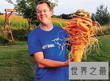 盘点世界之最蔬菜,世界最重胡萝卜20.34斤已成精