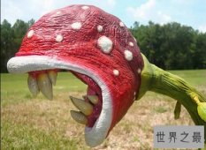 世界上最美最毒的花，食人花(吞噬10条生命开花1次)