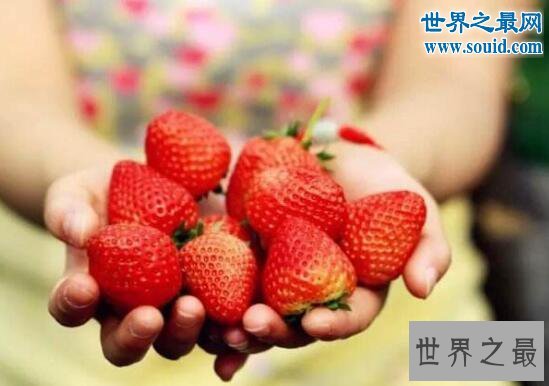 最脏的水果,草莓(有着20中农药残留)