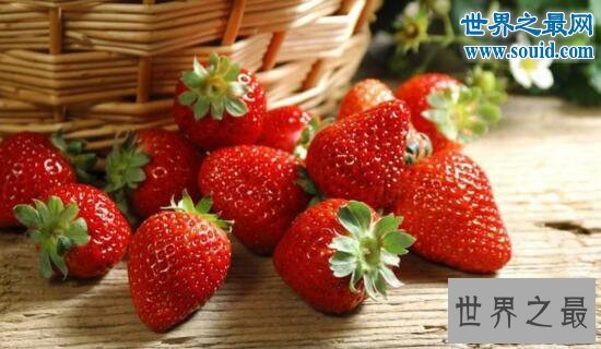 最脏的水果,草莓(有着20中农药残留)