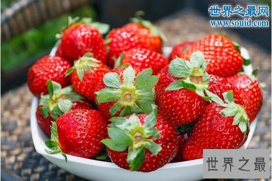 最脏的水果,草莓(有着20中农药残留)