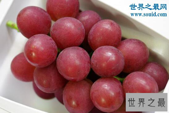 世界上最贵的水果，美国草莓阿诺140万美元一碗