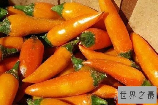 世界上最奇特的16种辣椒，水果味和辣死人的辣椒