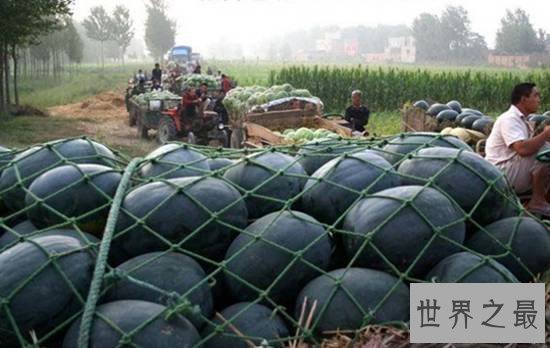 世界上最珍稀的十大食物，顶级富豪都没吃过的珍品