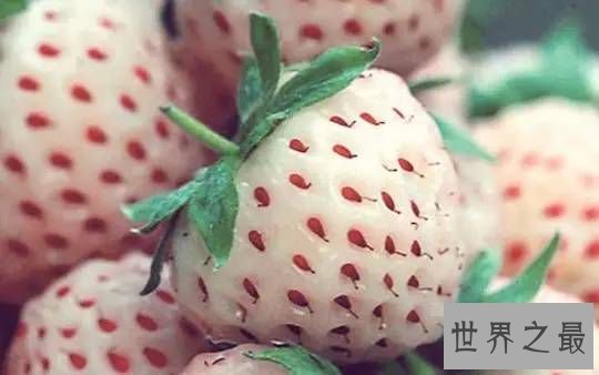 世界上最罕见的10种水果,超市绝对不会卖的