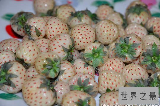 世界上最罕见的10种水果,超市绝对不会卖的