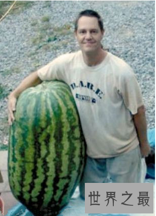 世界上最大的西瓜,重达300斤(比人还高)