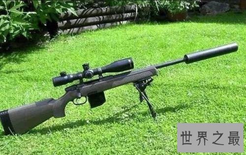 世界十大狙击步枪排行榜,美俄几乎垄断了