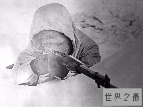 二战狙击手排名,第一一共杀了大约有542人!