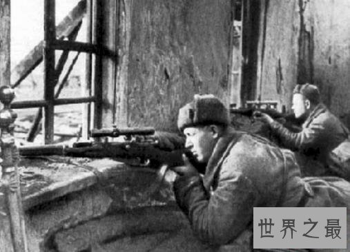 二战狙击手排名,第一一共杀了大约有542人!