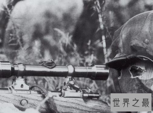 二战狙击手排名,第一一共杀了大约有542人!
