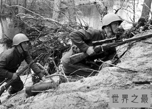二战狙击手排名,第一一共杀了大约有542人!