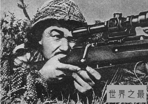 二战狙击手排名,第一一共杀了大约有542人!