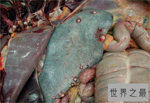 最致命的十种大规模杀伤性武器,最恐怖的还是化学武器