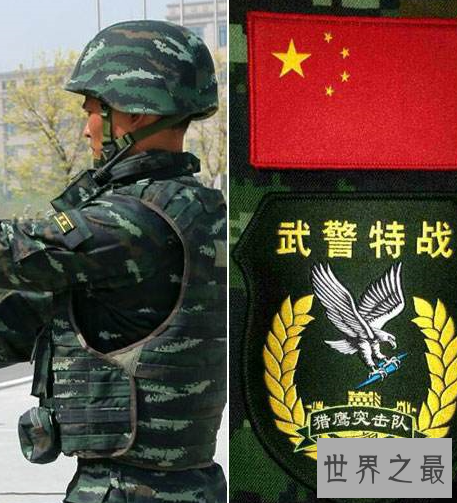 中国十大特种部队排名,他们为中国贡献了一生。