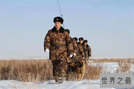 小白杨事件在网络上被广泛关注,事件主角是一位军人