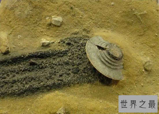 美国51区住着大批的外星人,曾发生神秘事件被人知晓