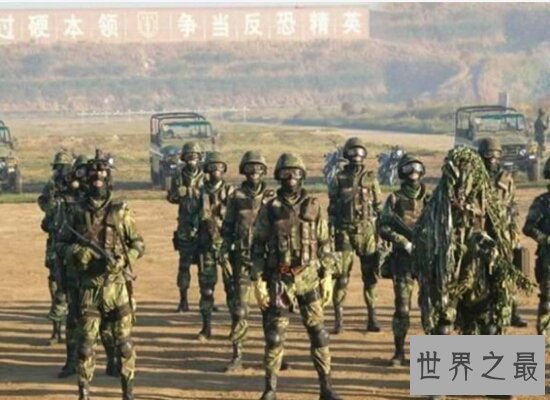中国龙焱特种部队 敌人闻风丧胆 中国人的骄傲
