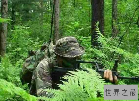 中国龙焱特种部队 敌人闻风丧胆 中国人的骄傲