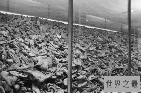 二战三大惨案,奥斯维辛集中营惨案死亡110万人