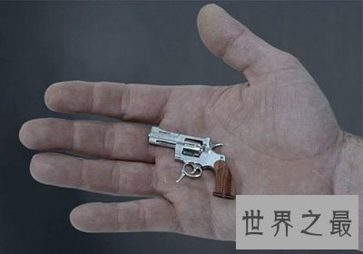 世界上最小的左轮手枪