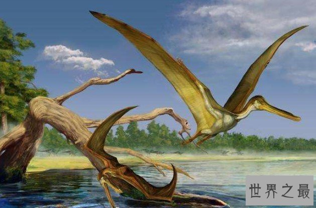 最大飞行生物“冰龙”属新物种,翼展超10米