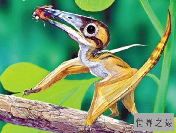 最大飞行生物“冰龙”属新物种,翼展超10米