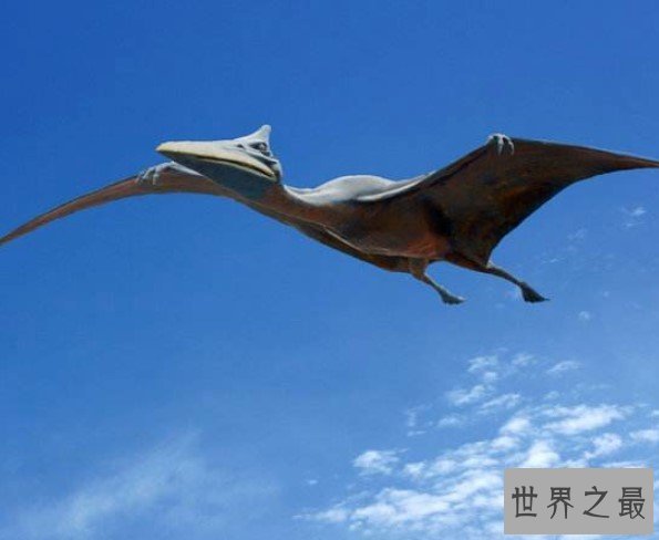 最大飞行生物“冰龙”属新物种,翼展超10米