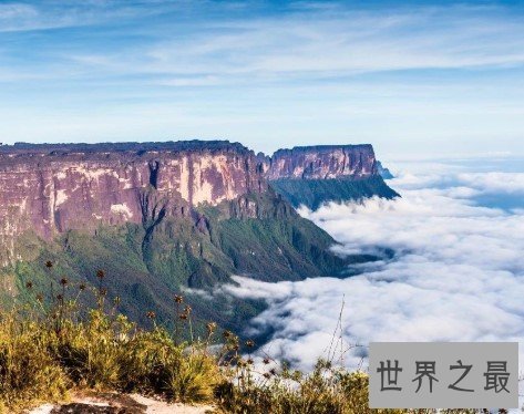世界上最神秘的地方,曾是上古生物活动的地方