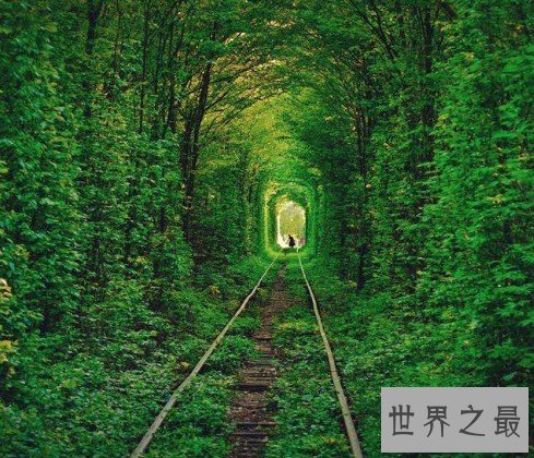 世界上最美的隧道,乌克兰爱的隧道成为情侣约会圣地