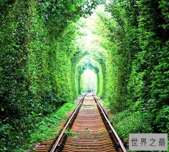 世界上最美的隧道,乌克兰爱的隧道成为情侣约会圣地