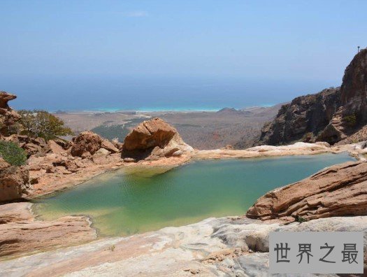 独一无二的索科特拉岛,让你感受外星人生活的奇特美景