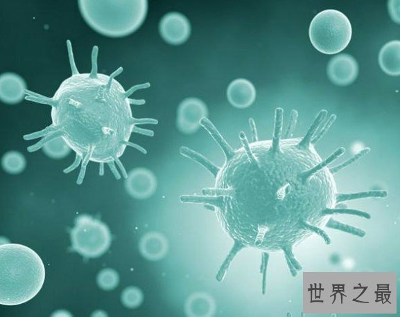 海洋中最多的生物,体积不到1微米