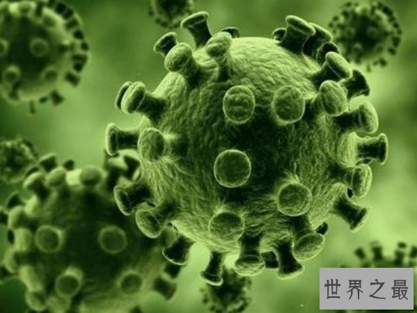 海洋中最多的生物,体积不到1微米