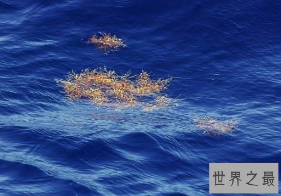 世界上最清澈的海,透明度达到了72米