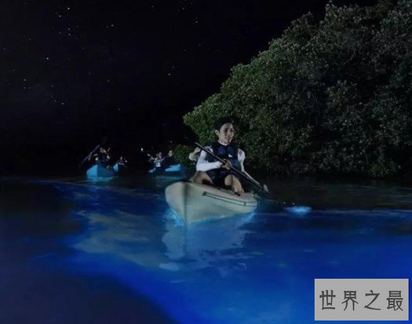 世界上最美丽的加勒比岛屿,最具有异域风情的地方