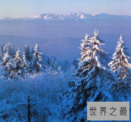 我国最大的天然林区,全区共有森林面积6.8亿亩